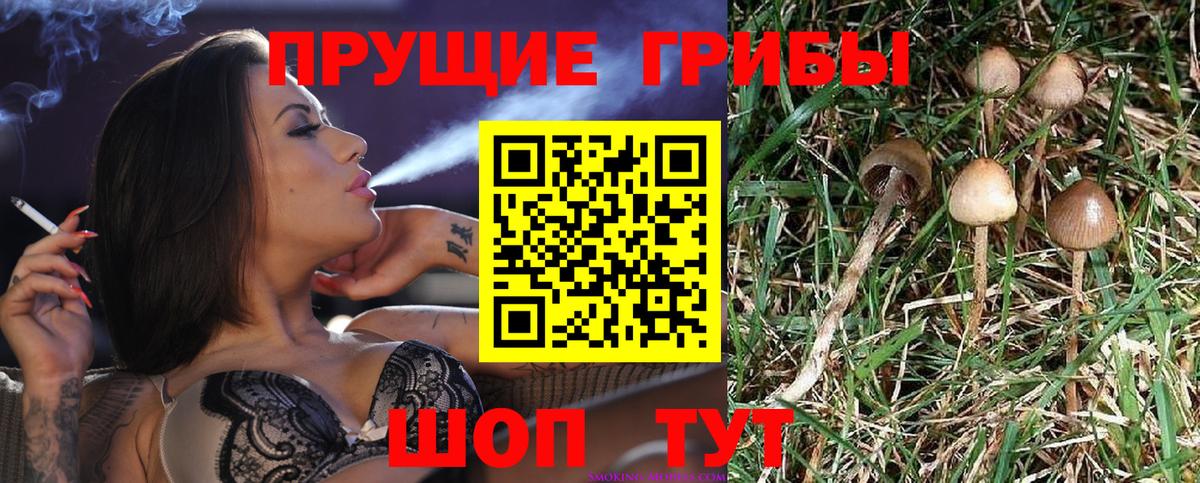 Галлюциногенные грибы MAGIC MUSHROOMS Люберцы