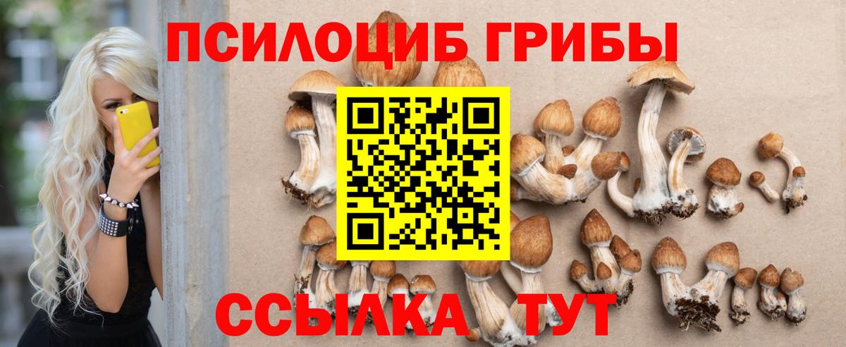 Люберцы  Псилоцибиновые грибы Psilocybe  Вход с VPN  Псилоцибиновые грибы мицелий 